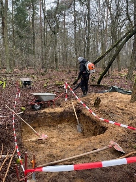 Riedrich Greenery and Landscaping