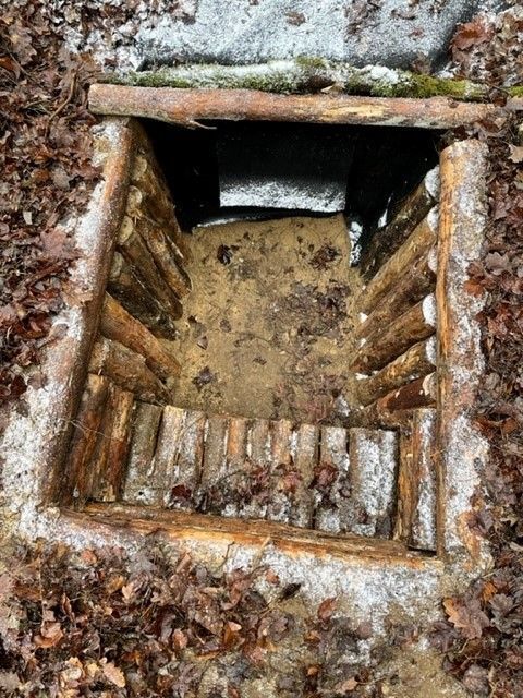 Riedrich Greenery and Landscaping