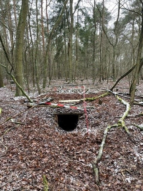 Riedrich Greenery and Landscaping