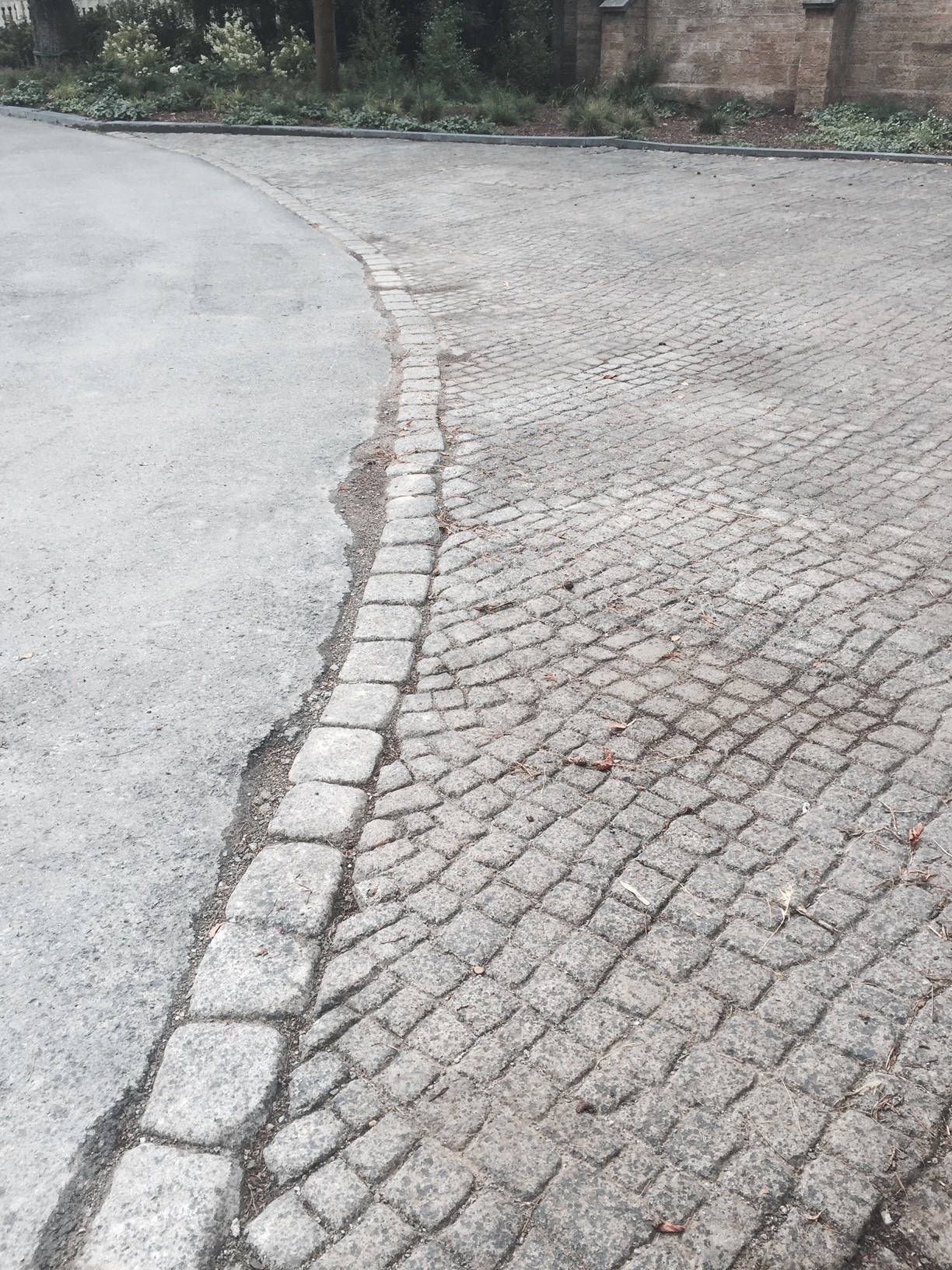 Riedrich Greenery and Landscaping