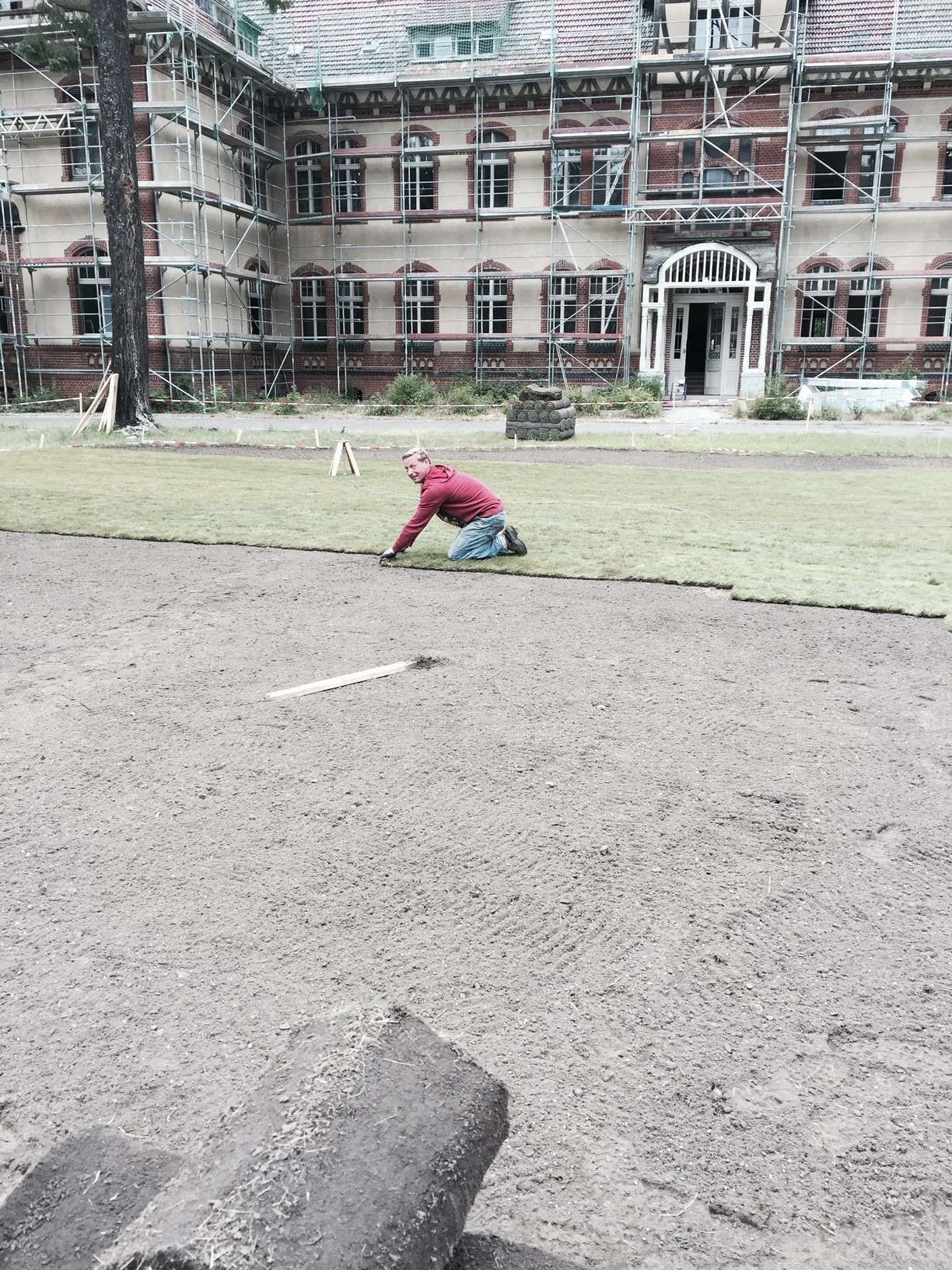 Riedrich Greenery and Landscaping