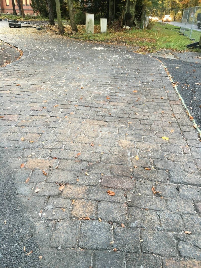 Riedrich Greenery and Landscaping