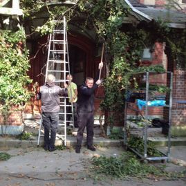 Riedrich Greenery and Landscaping