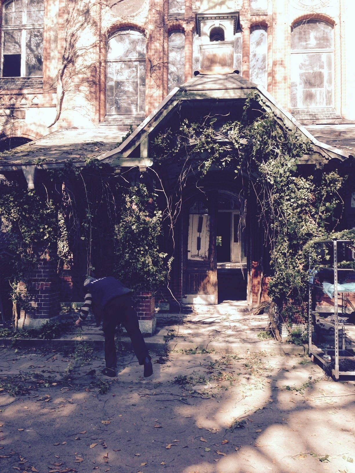 Riedrich Greenery and Landscaping