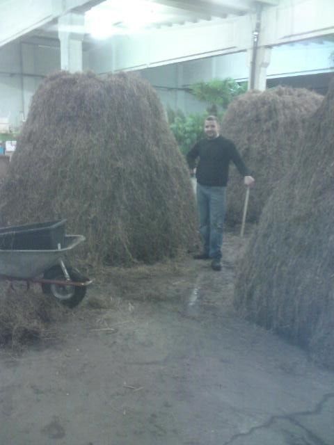 Riedrich Greenery and Landscaping