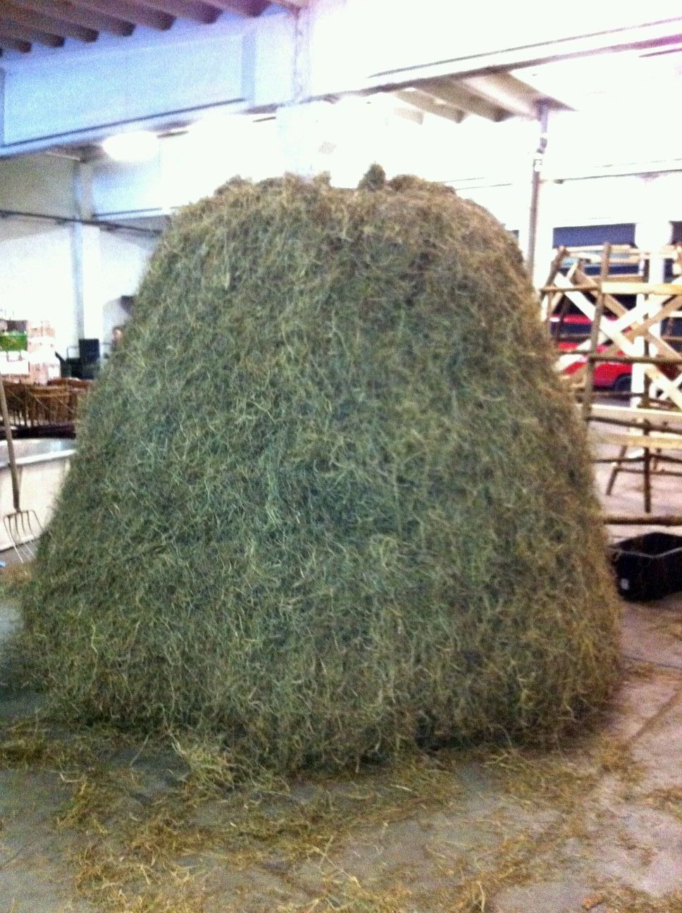 Riedrich Greenery and Landscaping