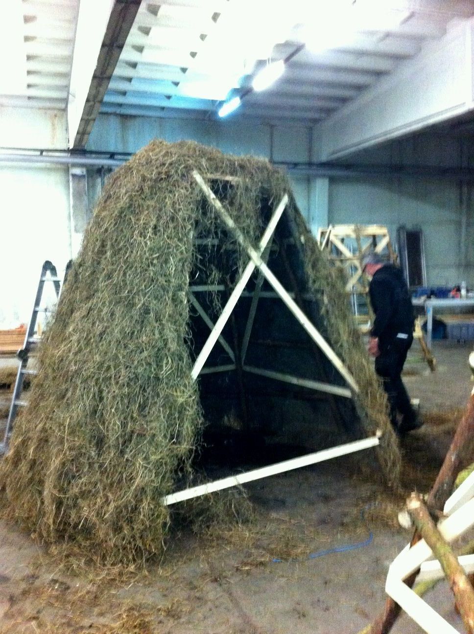 Riedrich Greenery and Landscaping