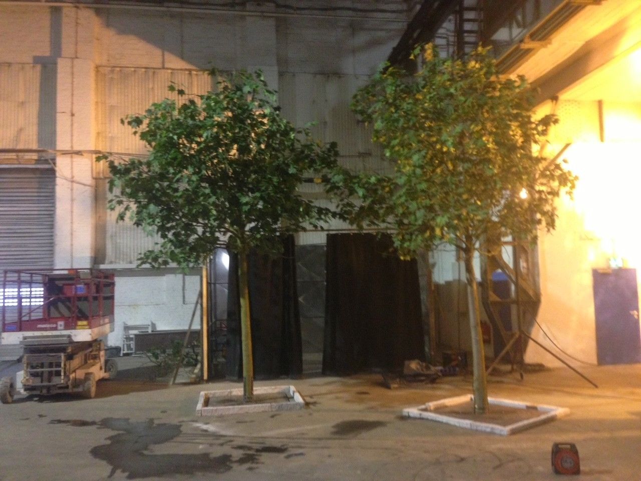 Riedrich Greenery and Landscaping