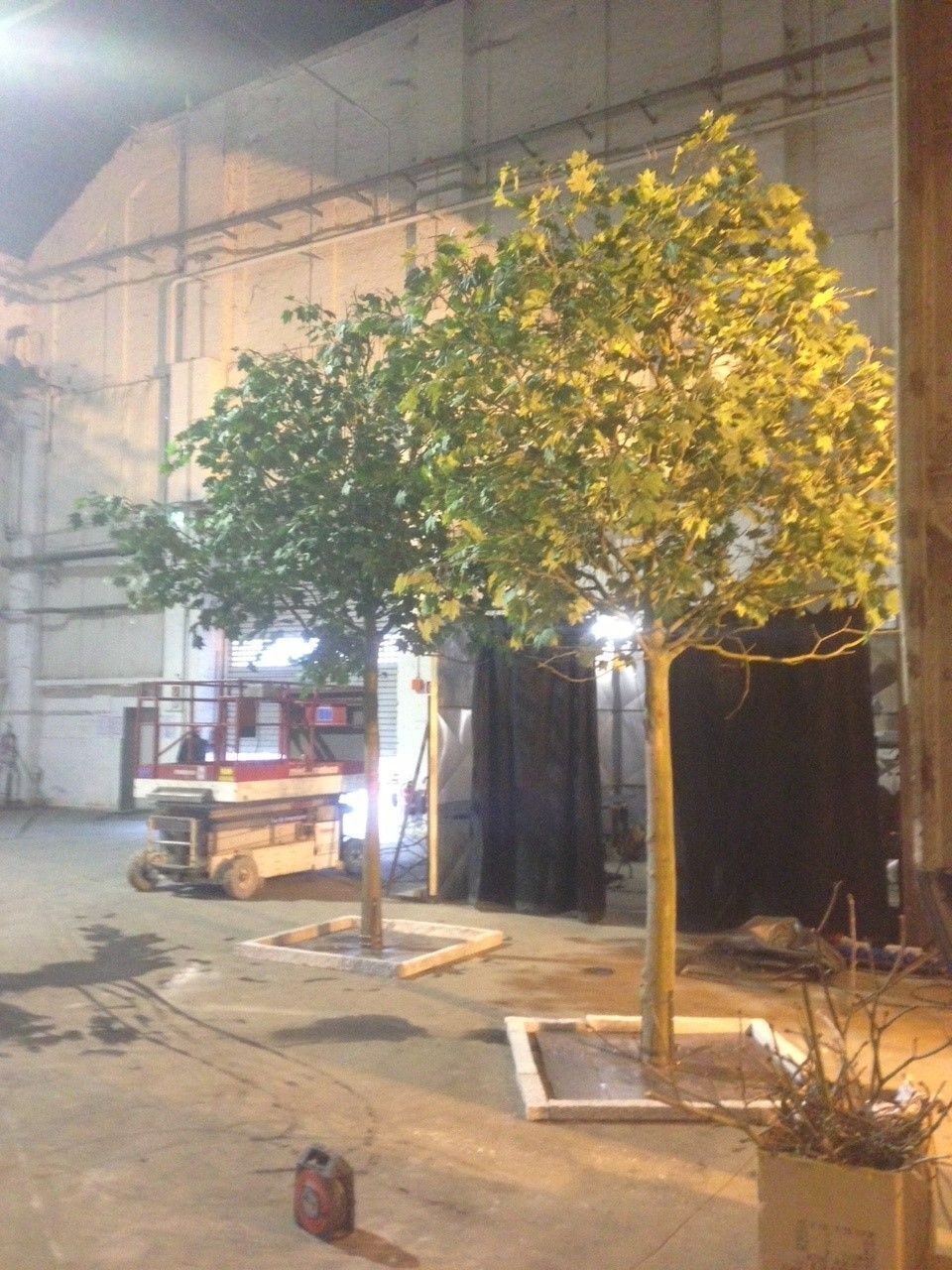 Riedrich Greenery and Landscaping