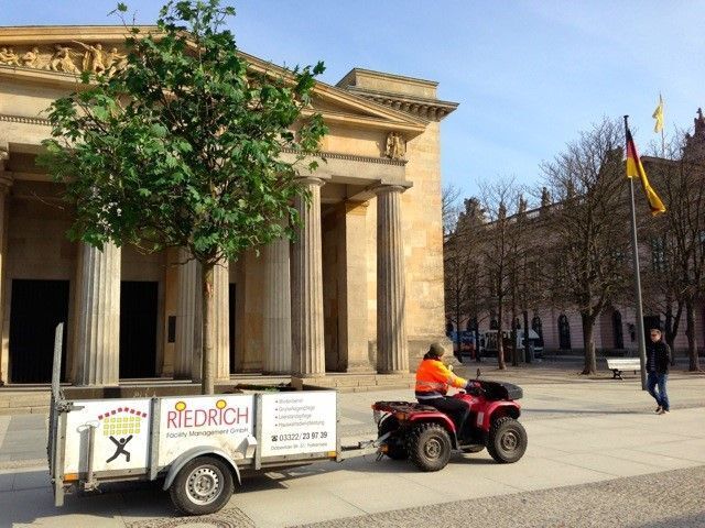 Riedrich Greenery and Landscaping