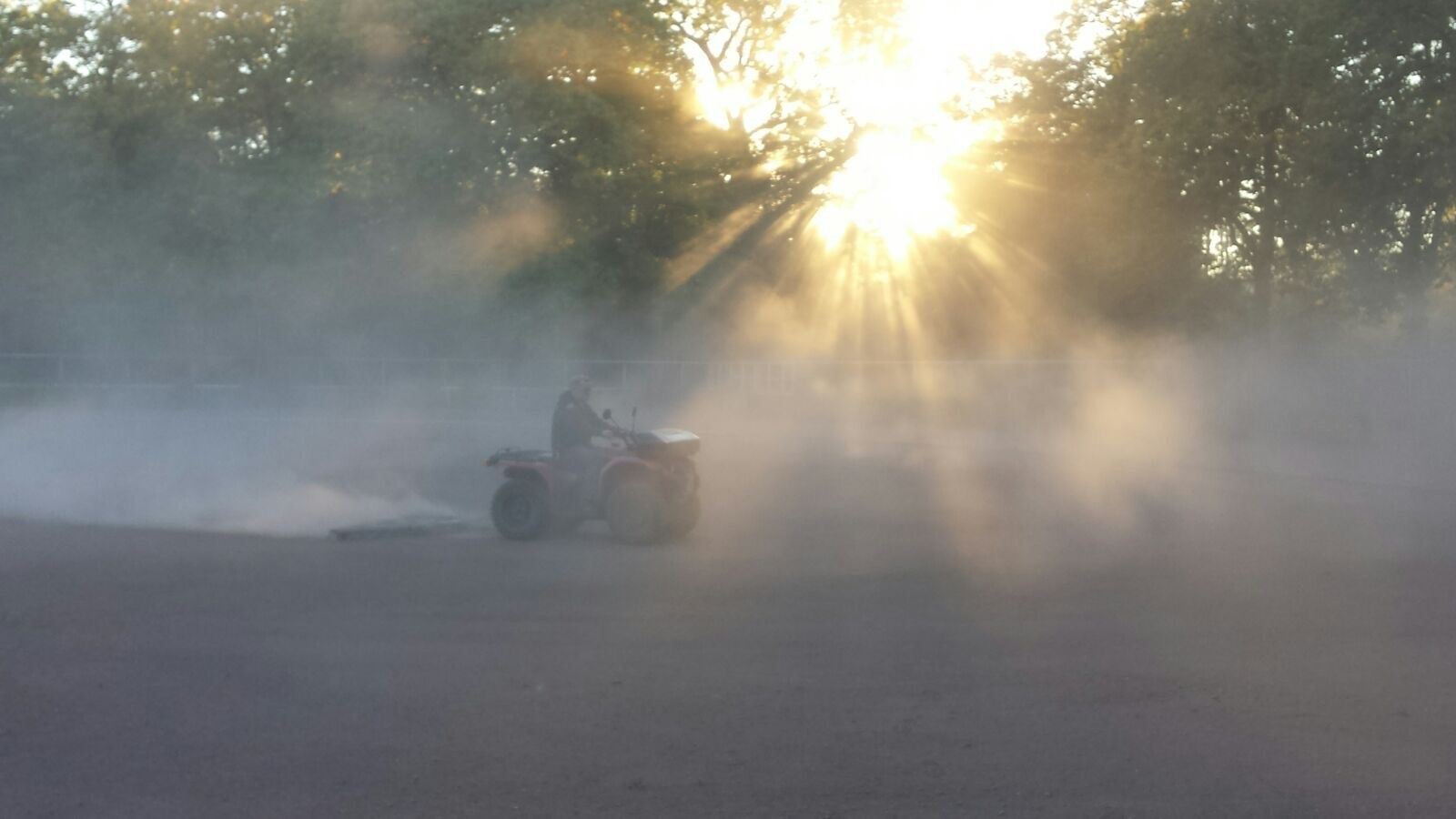 Riedrich Greenery and Landscaping