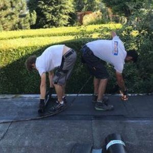 Heinz - Ihr Dach vom Fach GmbH