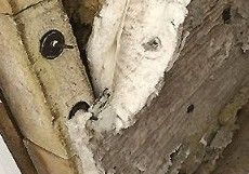 Gros plan sur un tas de copeaux de bois, différentes nuances de brun et de beige.