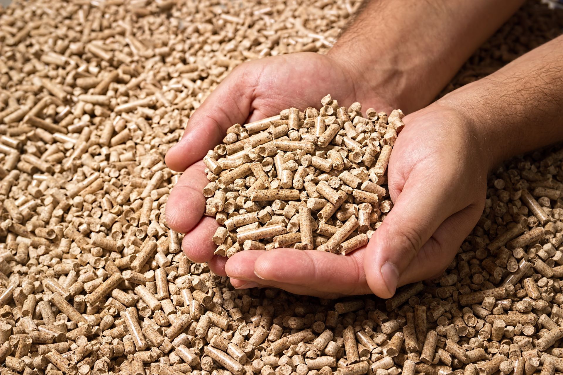 Des mains jointes tiennent un tas de granulés de bois compressés brun clair au-dessus d'un plus grand tas du même matériau.