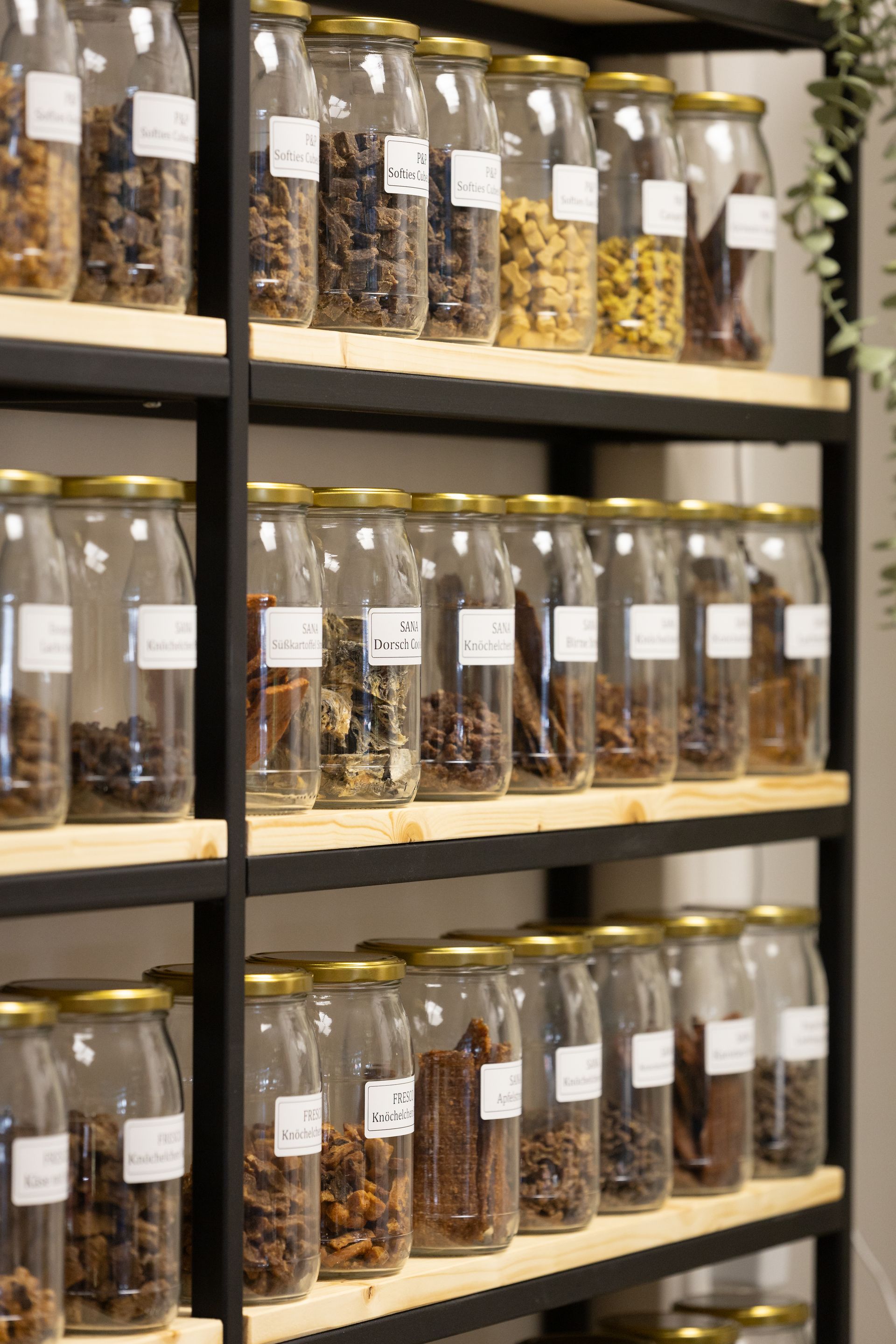 Glasbehälter mit Hundesnacks im Regal – natürliche Leckerlis bei Hundsverruckt Hundenladen