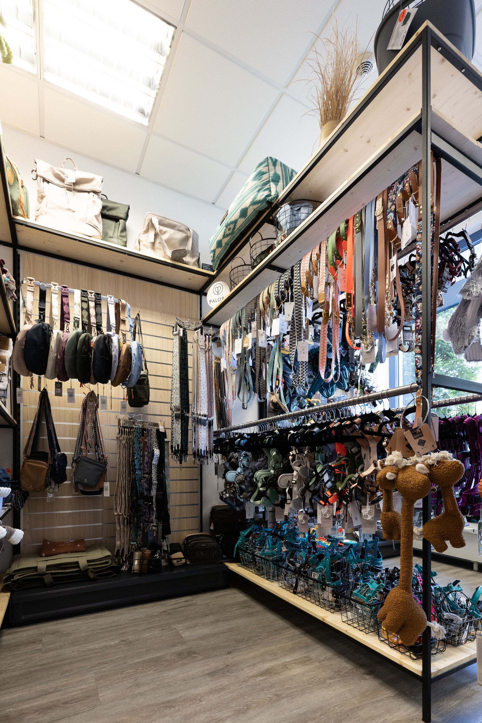 Innenansicht des Hundeladens mit Leinen und Spielzeug – Einkaufen bei Hundsverruckt Hundenladen