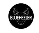Blue Heeler Logo