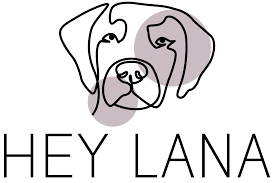 HeyLana Logo