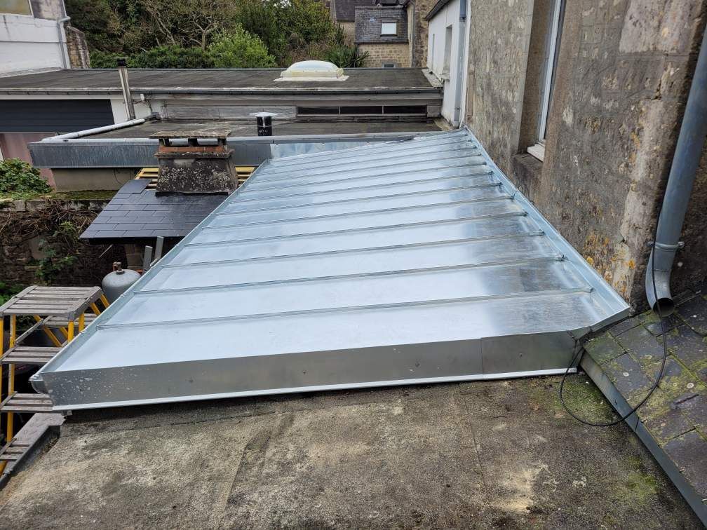 Toiture métallique en zinc, avec une échelle et des bâtiments voisins en arrière-plan