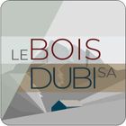 Logo « Le Bois Dubi RSA » en gris, bordeaux et bleu sur un fond géométrique abstrait