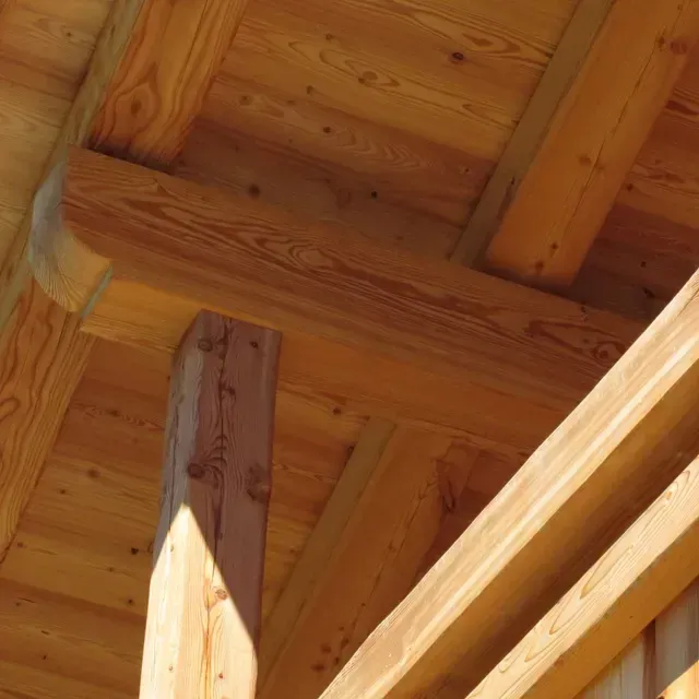 Poutres et chevrons de charpente en bois vus d'en bas, la lumière du soleil projetant des ombres chaudes.