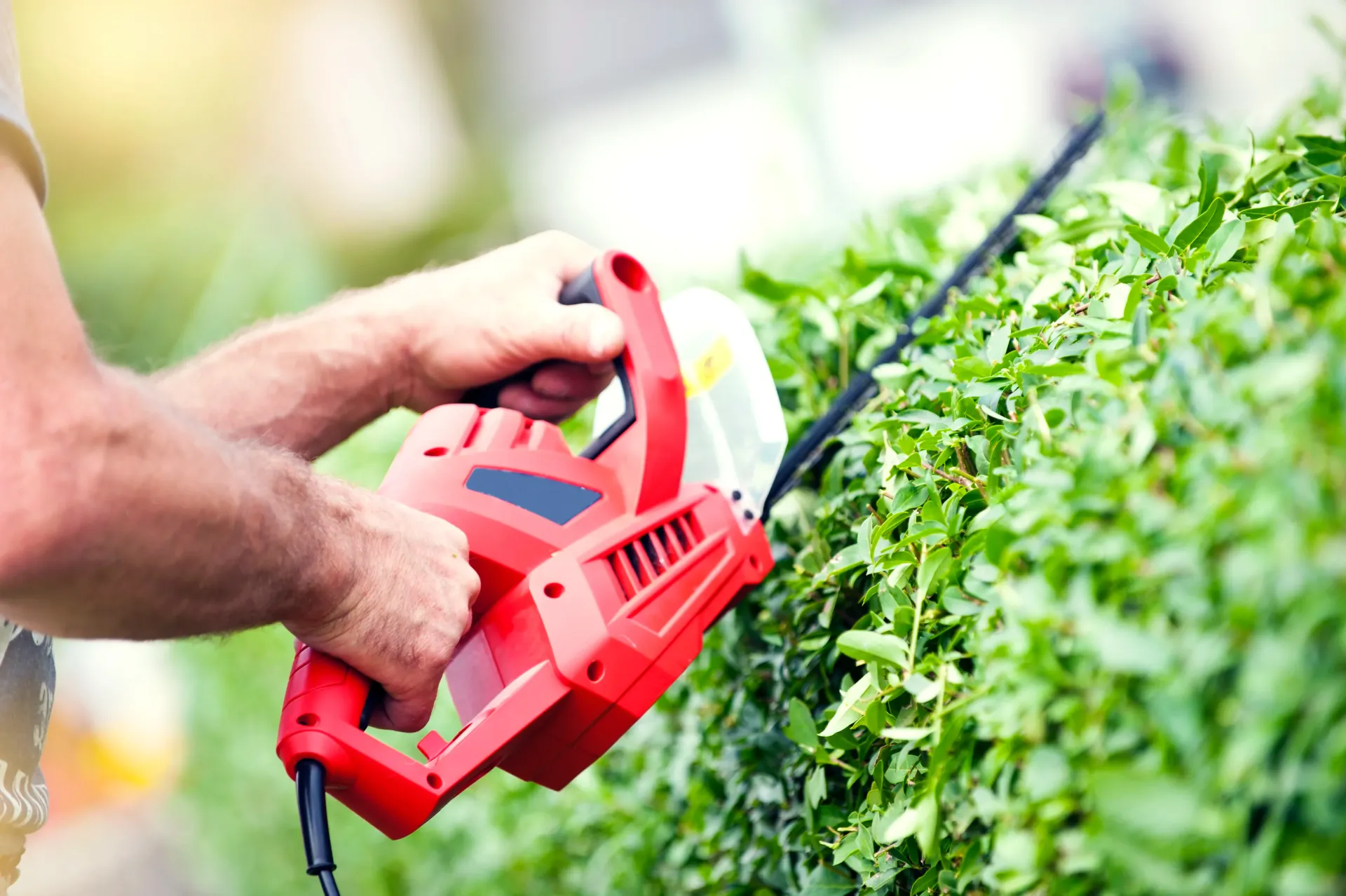 servicios forestales en Vigo