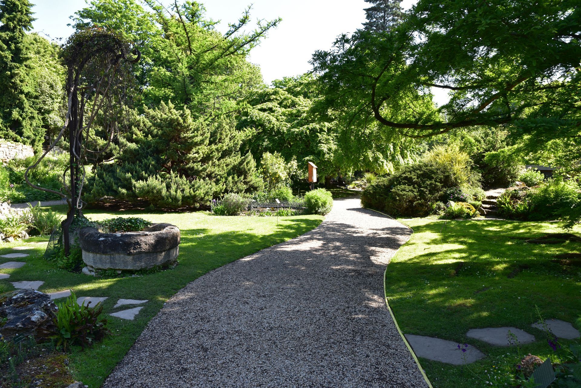 Allée de jardin ensoleillée serpentant entre des arbres et des arbustes verdoyants, et un puits en pierre