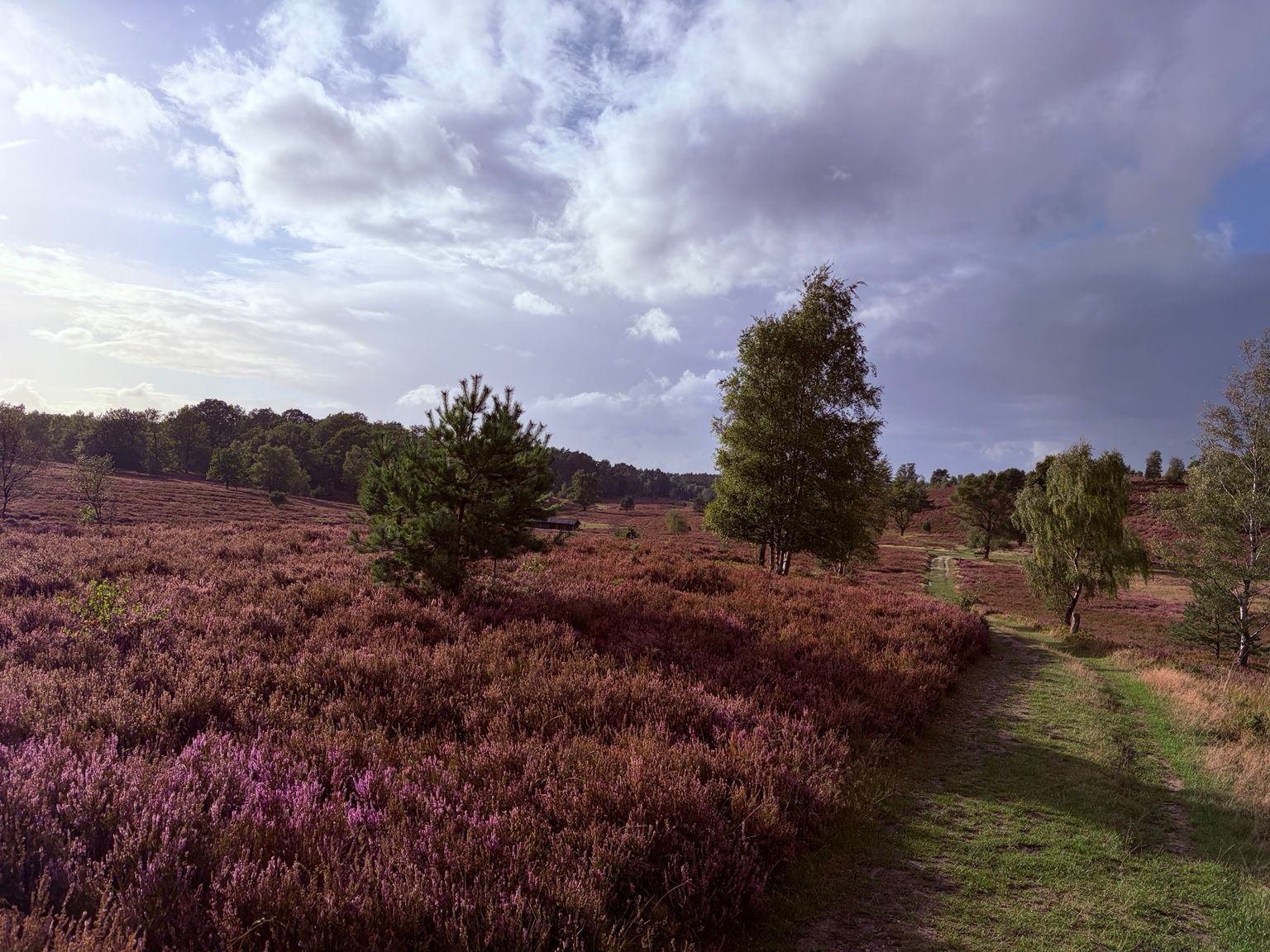 Fahrradfahren in der Natur