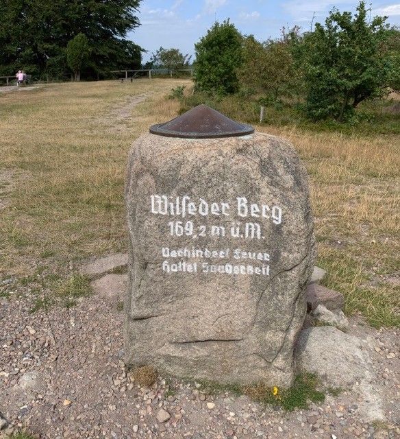 Wilseder Berg in der Lüneburger Heide