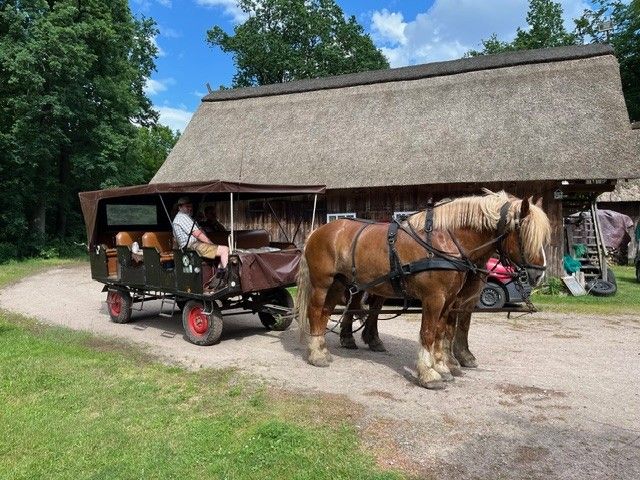 Pferdekutsche in der Lüneburger Heide