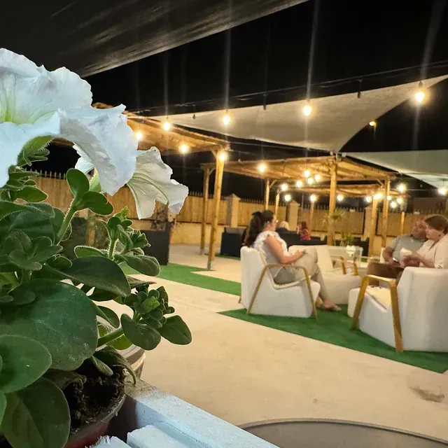 Una mujer se sienta en una silla bajo un dosel con una planta en maceta en primer plano.