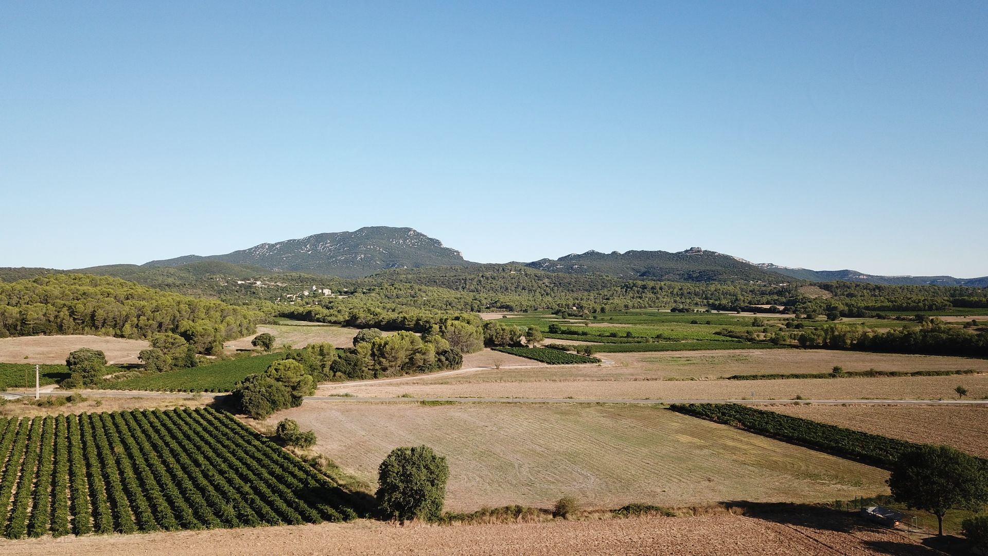 Un paysage avec des champs