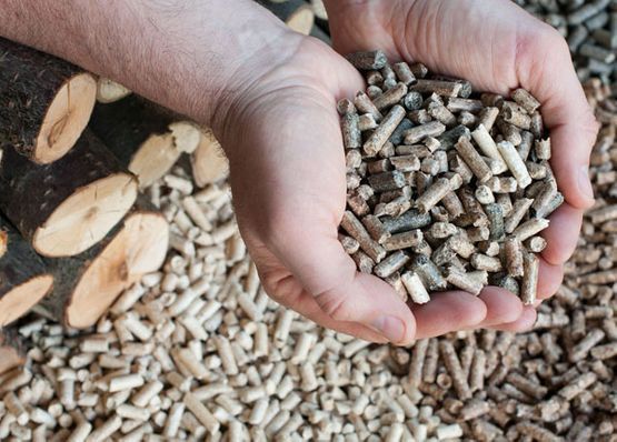 Una persona sostiene una pila de pellets de madera en sus manos.
