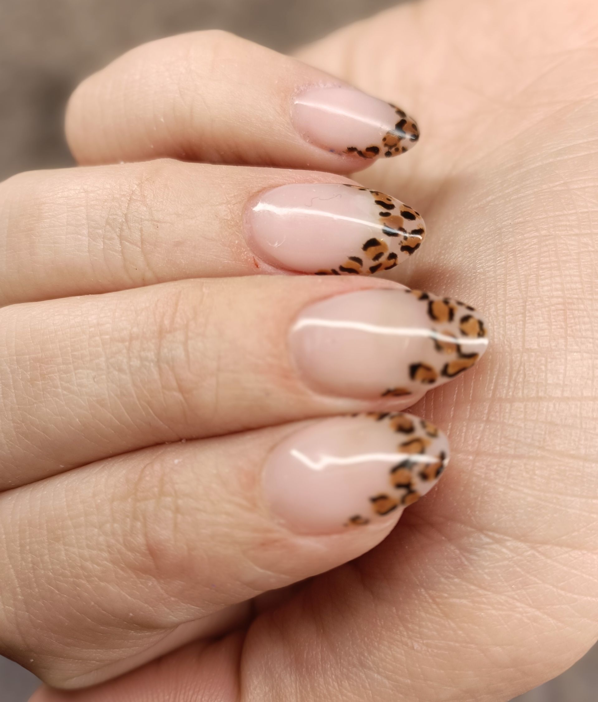 Main avec des ongles de forme ovale avec une base naturelle et des pointes à imprimer léopard.