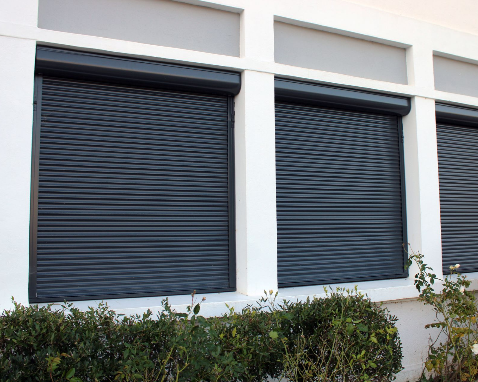 Volets roulants gris foncé fermés sur les fenêtres blanches