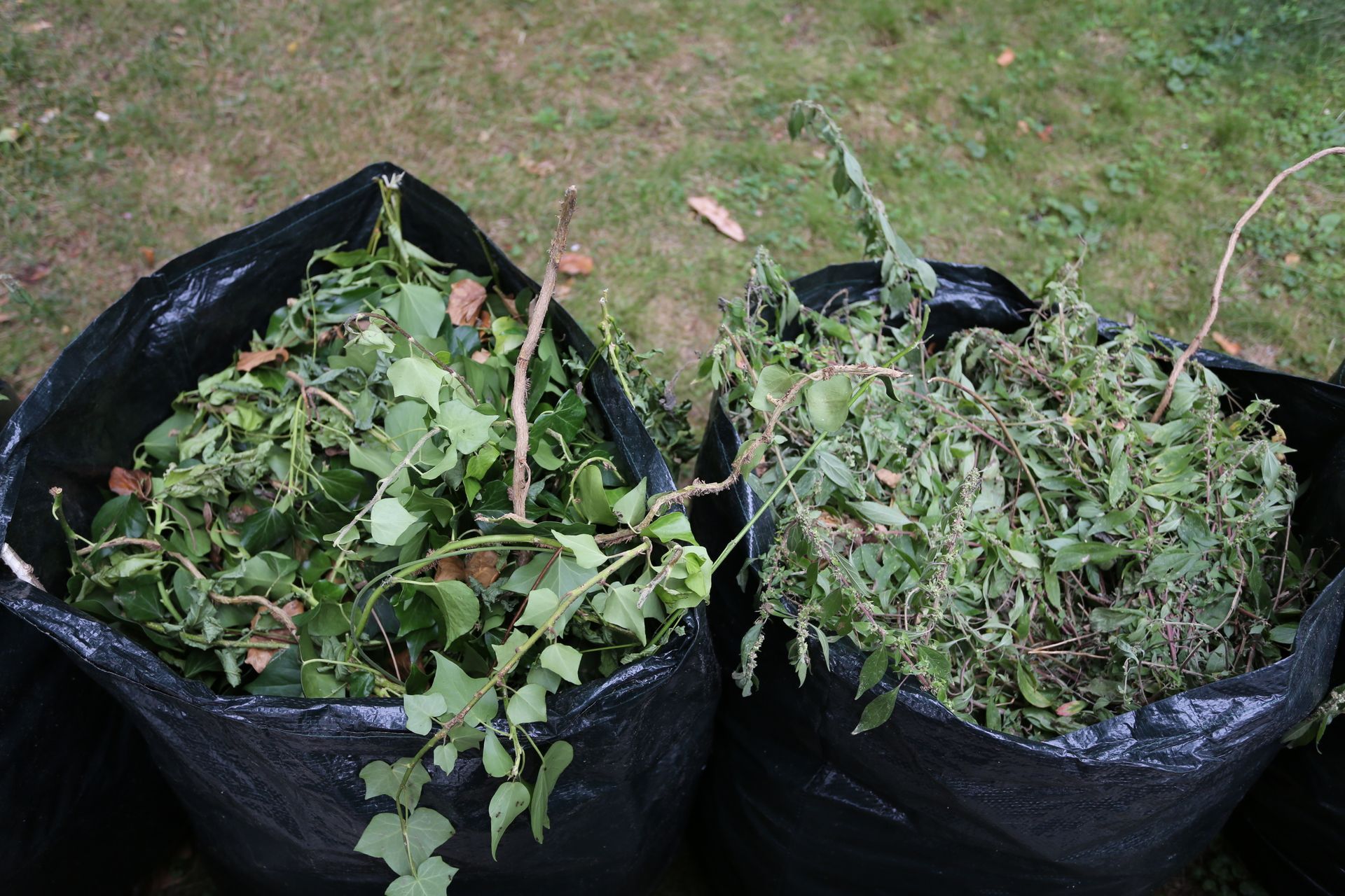 Deux sacs de jardin noirs remplis de branches et de feuilles vertes coupées