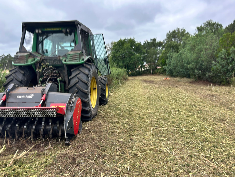 Une personne utilise un coupe-bordures sur une pelouse herbeuse près de buissons denses.
