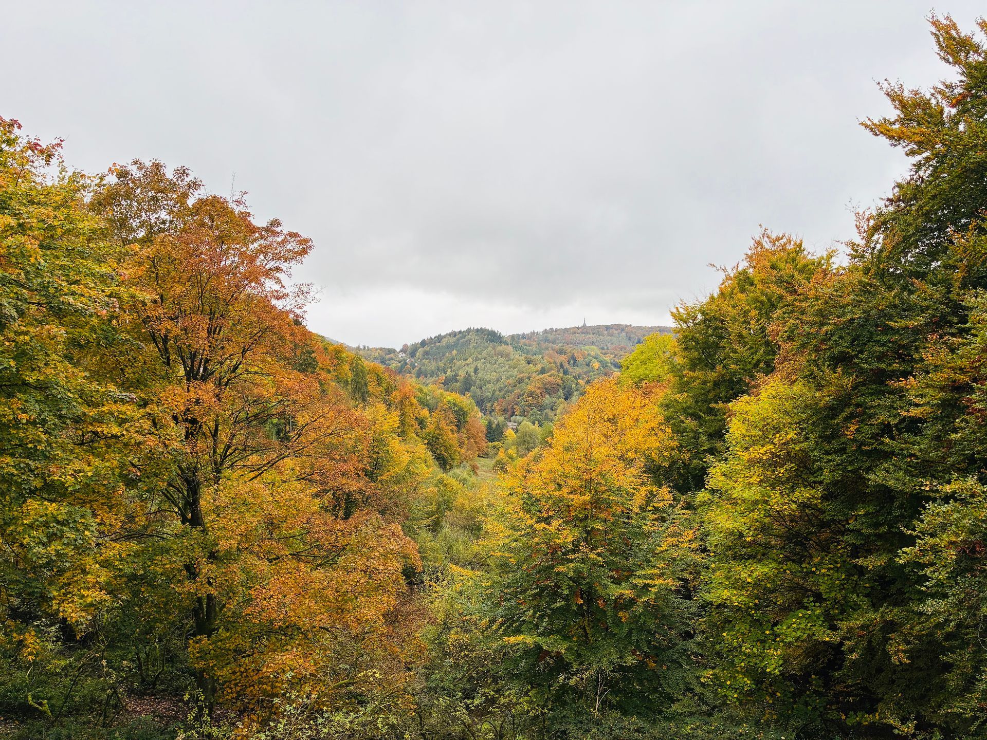 Blick zum Hermannsdenkmal