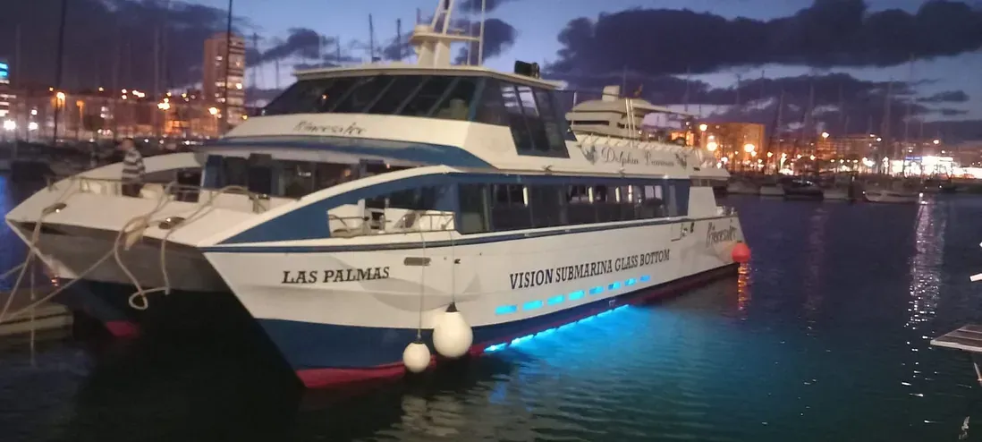 Un gran barco está atracado en un puerto por la noche.
