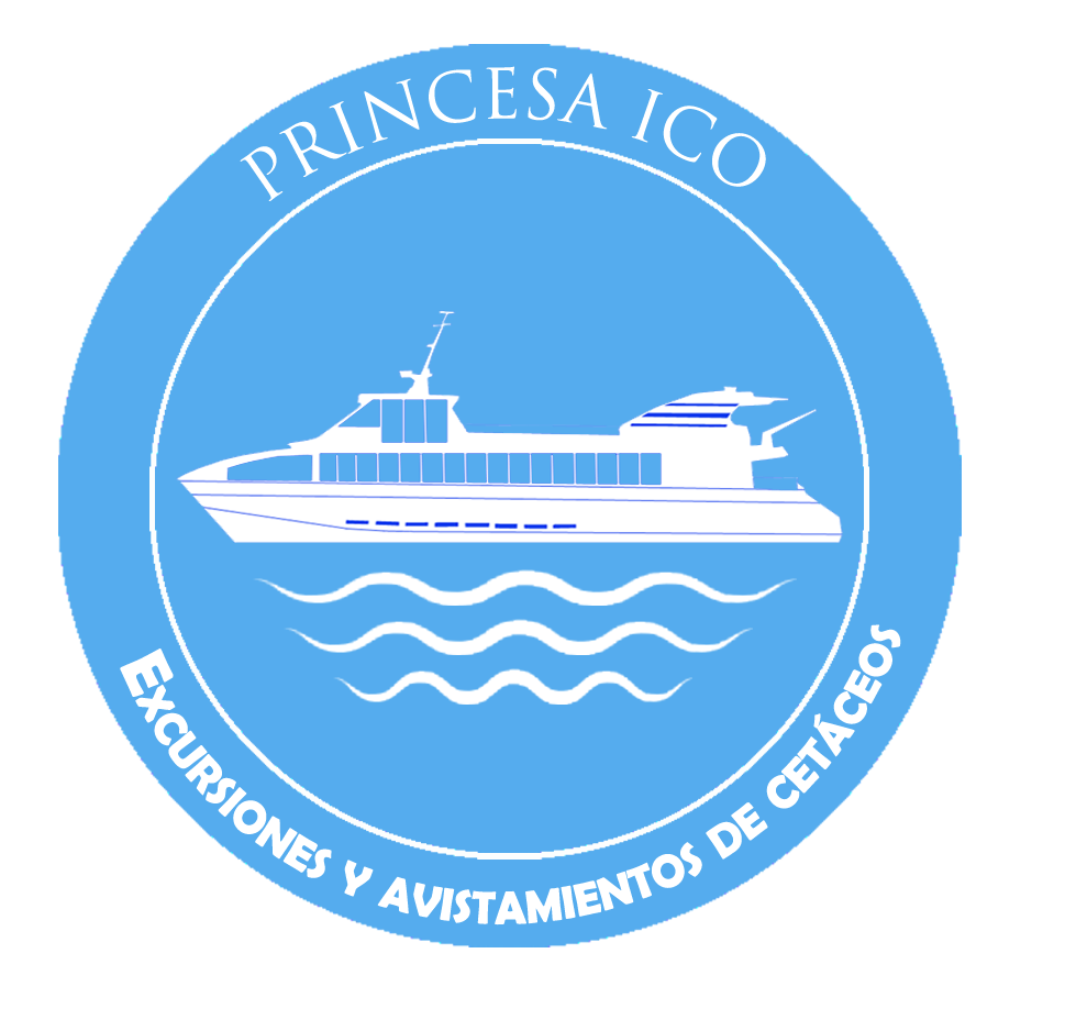 A logo for princesa ico excursiones y avistamientos de cetaceas