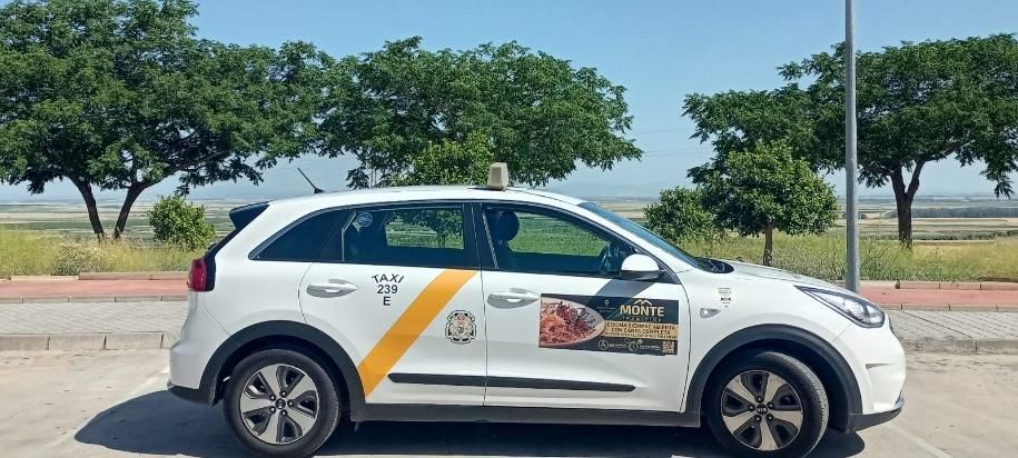 Taxi Kia Niro blanco aparcado junto a la carretera, con marcas amarillas. Árboles y un paisaje lejano al fondo.