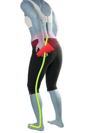 Piriformis
