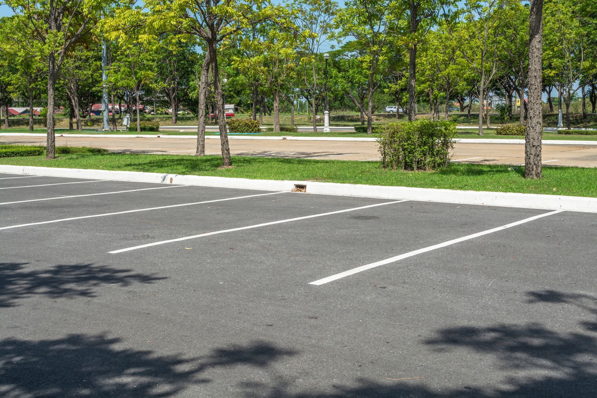 Parking arboré avec des lignes tracées au sol