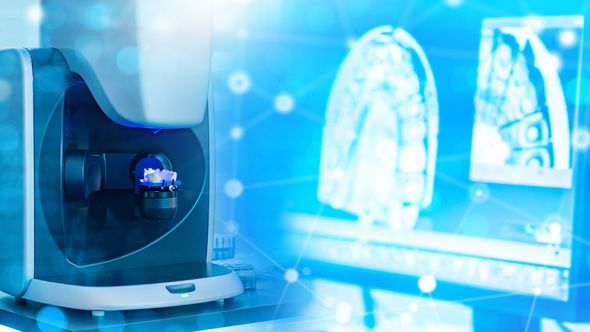 Des mains utilisent un outil pour travailler sur un modèle dentaire avec des dents artificielles.