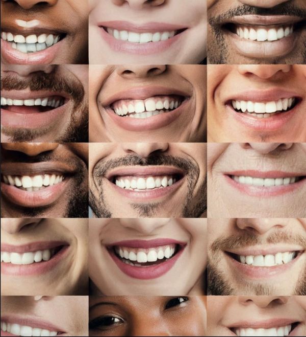 Des mains utilisent un outil pour travailler sur un modèle dentaire avec des dents artificielles.