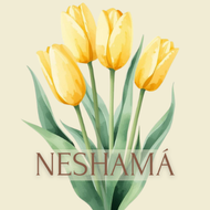 Tulipanes amarillos en acuarela con hojas verdes y la palabra &ldquo;NESHAMA&rdquo; debajo.