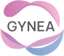 GYNEA-Logo mit grauem Text innerhalb eines kreisförmigen Bandes in Rosa, Lila und Blau