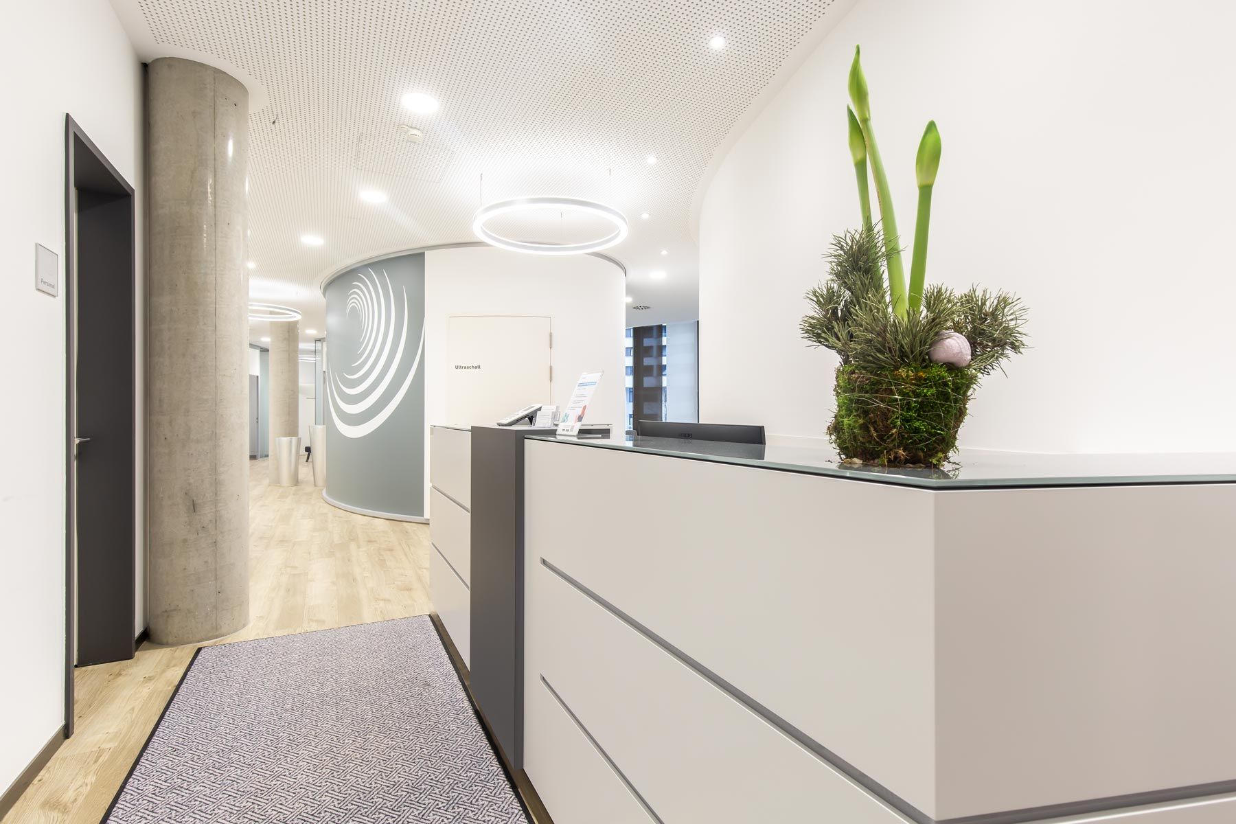 Moderne Bürolobby mit weißem Empfangstresen, Topfpflanze und geschwungenen Flurwänden