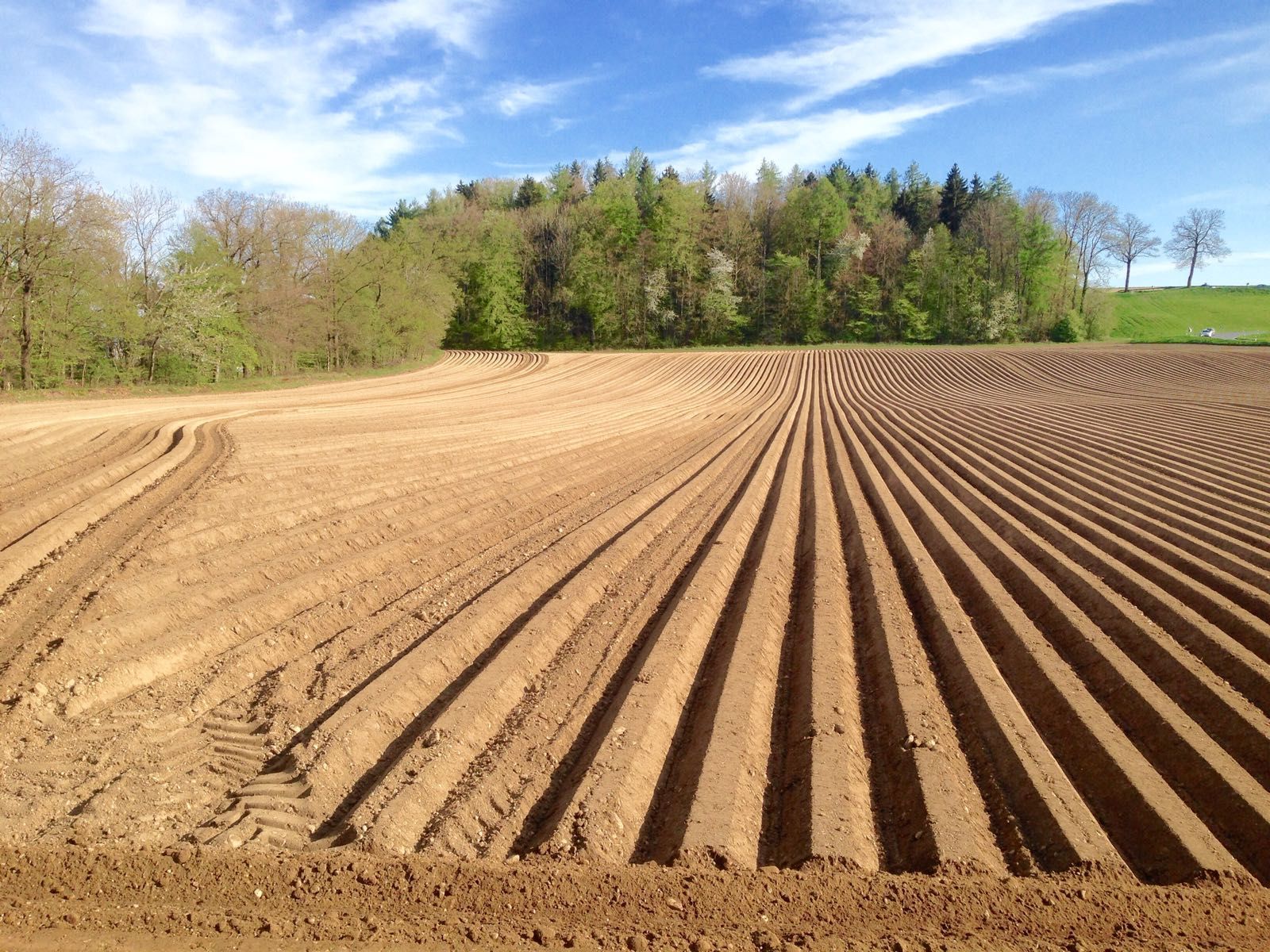 Domaine au Village Service SA