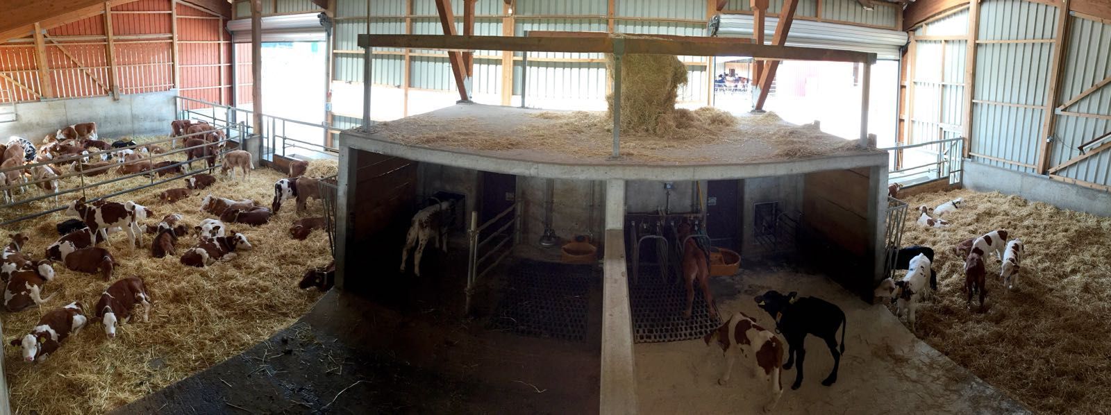 Domaine au Village Service SA